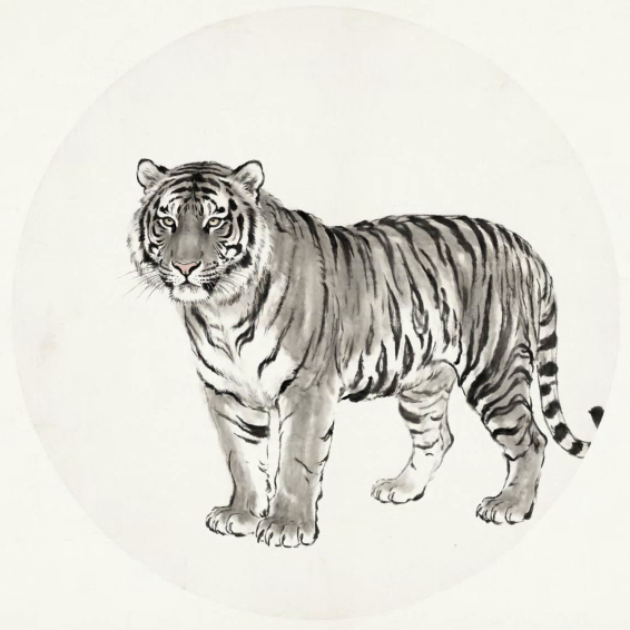 虎